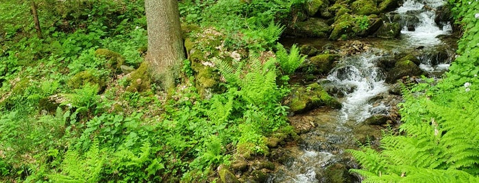 Vavřincovy vodopády is one of Krkonoše.