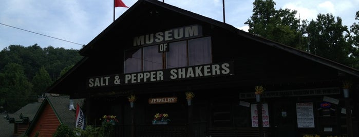 Salt & Pepper Shaker Museum is one of Gatlinburg & Pigeon Forge, TN.