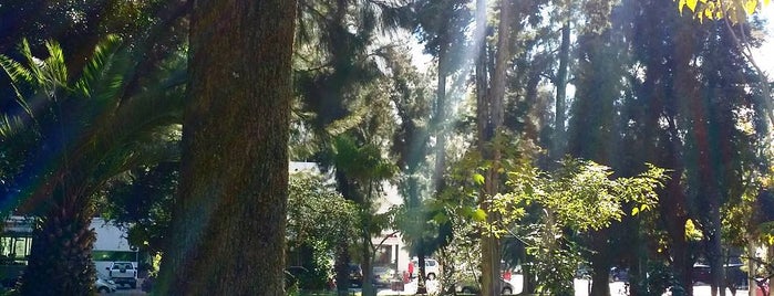 Parque Rubén Darío is one of Guadalajara Pass.