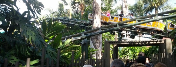 Coastersaurus is one of Ryan’s Liked Places.