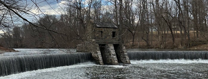 Speedwell Park is one of Parks and Recreation.