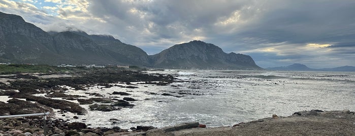 Betty’s Bay is one of Picnic spots around Cape Town and Winelands.