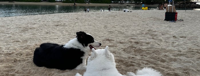 Tanjong Beach is one of Singapore to-do list.