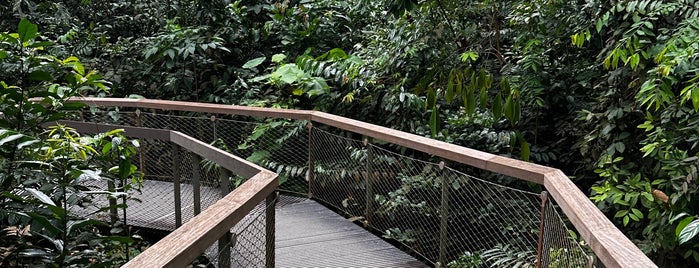 Drongo Trail is one of Trek Across Singapore.