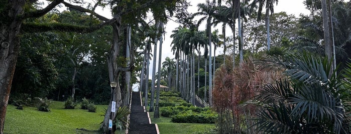 Ang Mo Kio Town Garden West is one of Micheenli Guide: Peaceful sanctuaries in Singapore.