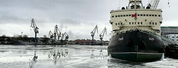 Krasin Icebreaker is one of Leningrad.