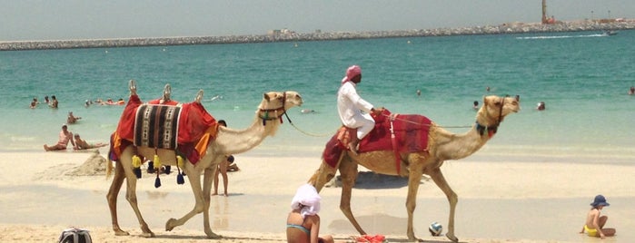 The Beach is one of Dubai Summer '14.