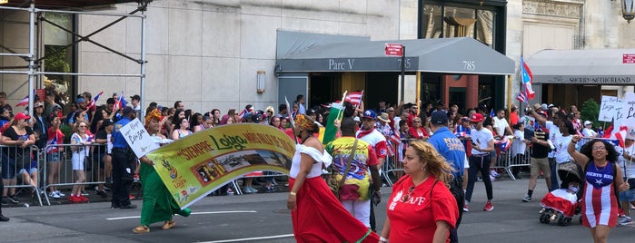 Puerto Rican Day Parade is one of NYC Bucket List.