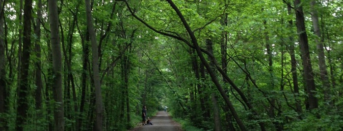 Kent Trails is one of Grand Rapids Area Parks.