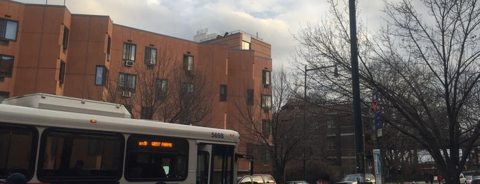 MTA MaBSTOA Bus at E. 180th Street & Boston Road (Bronx Zoo): (Bx9, Bx36, Q44) is one of Tempat yang Disimpan Choklit.