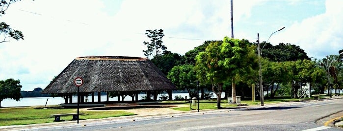 Universidade Federal do Pará (UFPA) is one of major estile.