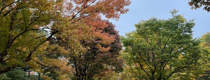 효원공원 is one of Orte, die 블루씨 gefallen.