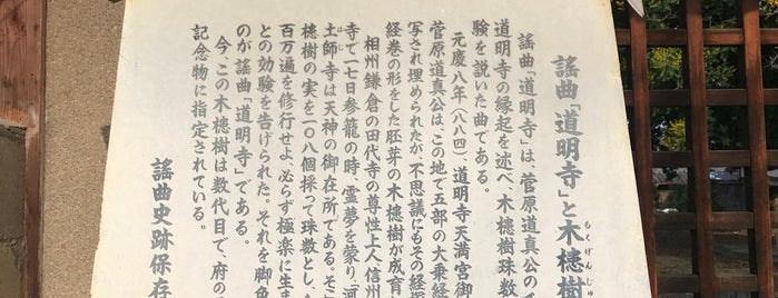 謡曲「道明寺」と木槵樹 is one of 謡曲史跡保存会の駒札.