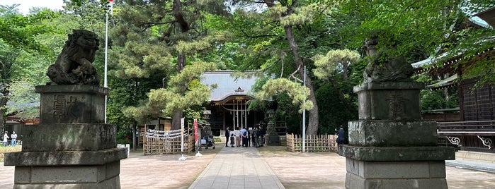 Shakujii Hikawa Shrine is one of 日本の神社(゜゜)(。。)x2_パンx2_(゜゜)(。。)x1.
