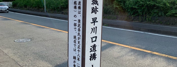 早川口遺構 is one of สถานที่ที่ Hideyuki ถูกใจ.