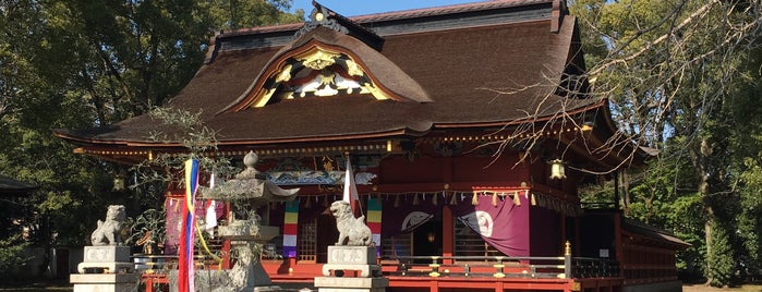 伊賀八幡宮 社殿 is one of 東海地方の国宝・重要文化財建造物.