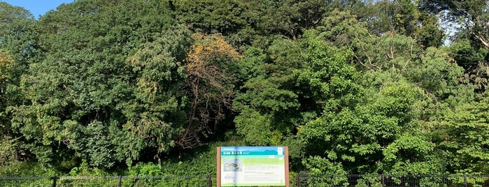 墓山古墳 is one of 西日本の古墳 Acient Tombs in Western Japan.