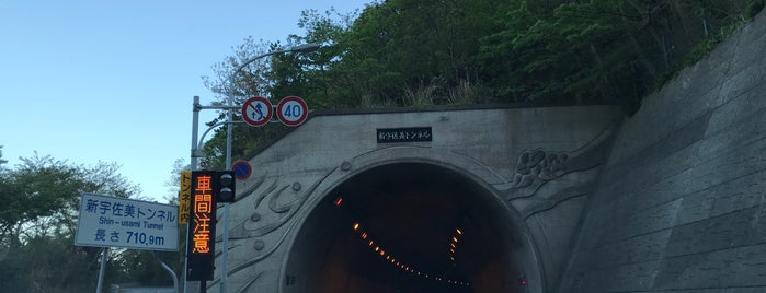 Shin-usami Tunnel is one of Road to IZU.