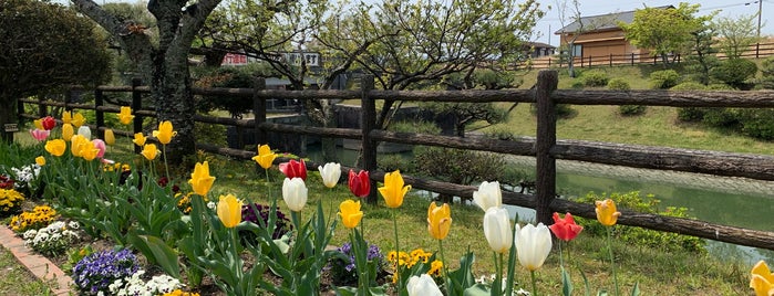 船頭平河川公園 is one of ばぁのすけ39号'ın Beğendiği Mekanlar.