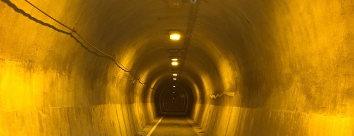 清滝隧道 is one of VENUES for HAUNTED PLACE.