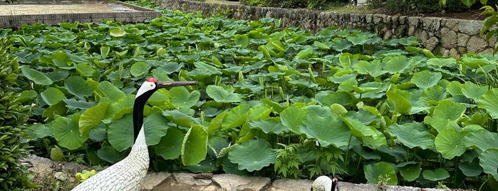 本證寺 is one of どうする家康ツアーズ.