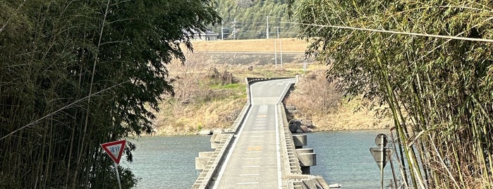 舞中島潜水橋 is one of 吉野川にかかる橋.