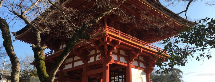 Takisanji Sanmon is one of 東海地方の国宝・重要文化財建造物.