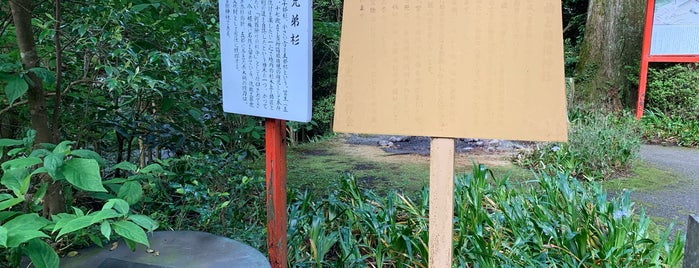 謡曲と箱根神社 is one of 謡曲史跡保存会の駒札.
