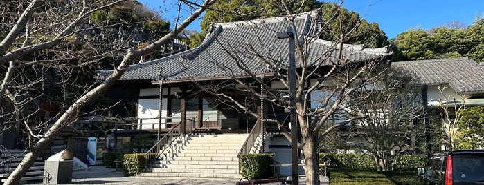 浄土寺 is one of 「どうする家康」ゆかりのスポット.