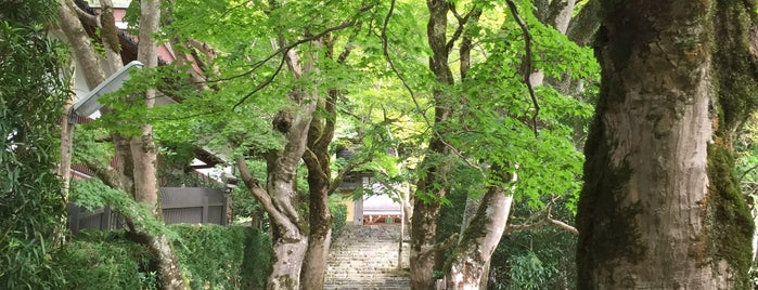 紅葉坂（もみじざか） is one of 京都の坂.