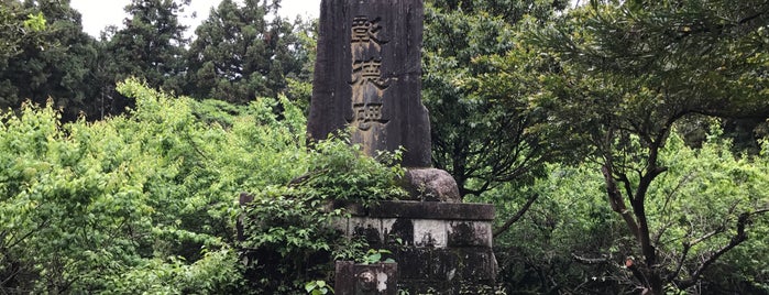 大井田城跡 梅林公園 is one of 城跡　その２.