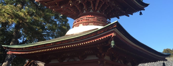 性海寺 多宝塔 is one of 東海地方の国宝・重要文化財建造物.