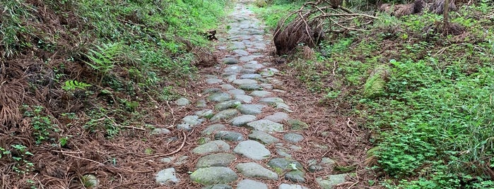 箱根旧街道 向坂地区杉並木・石畳 is one of 横浜周辺のハイキングコース.