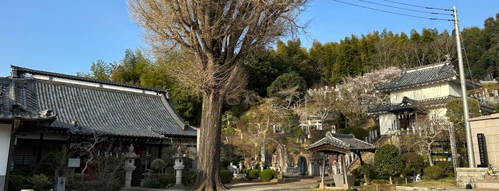 真浄寺 is one of 訪問済みの城.