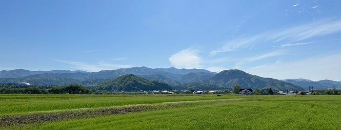 勝山市 is one of 中部の市区町村.