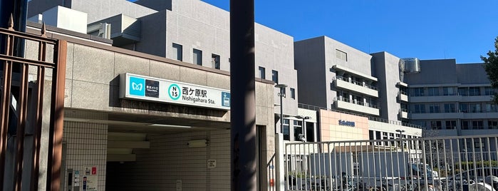 西ケ原駅 (N15) is one of 東京メトロの地下鉄駅.