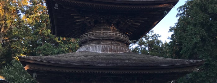 東観音寺 多宝塔 is one of 東海地方の国宝・重要文化財建造物.