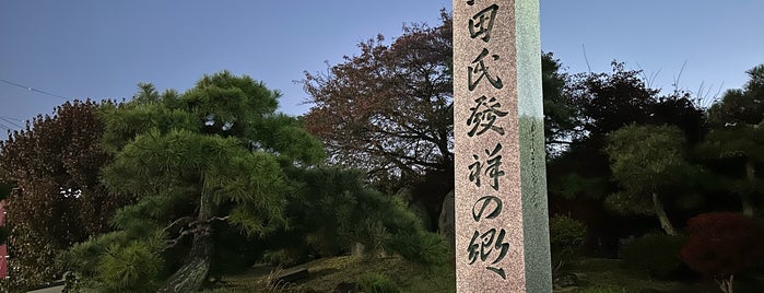 真田氏発祥の郷 is one of 公園.