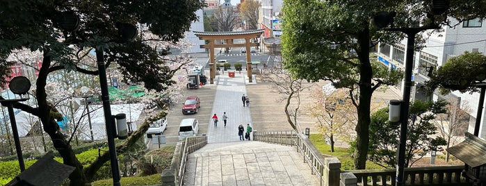 Utsunomiya Futaarayama Shrine is one of サイクリング.