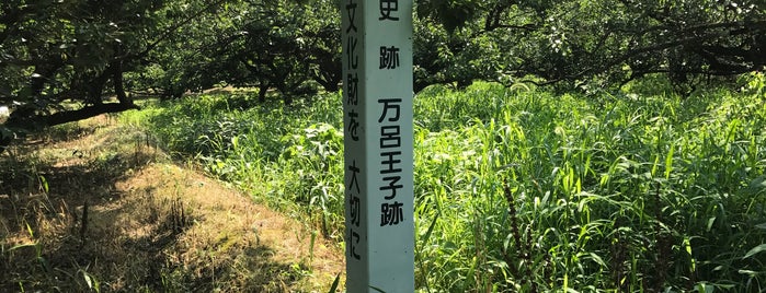 万呂王子跡 is one of 熊野九十九王子.