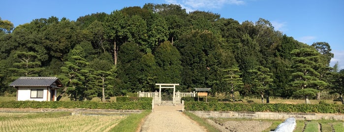 称徳天皇 高野陵（佐紀高塚古墳） is one of 西日本の古墳 Acient Tombs in Western Japan.