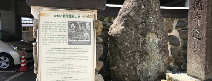 たばこ栽培発祥の地 is one of 長崎市の史跡.