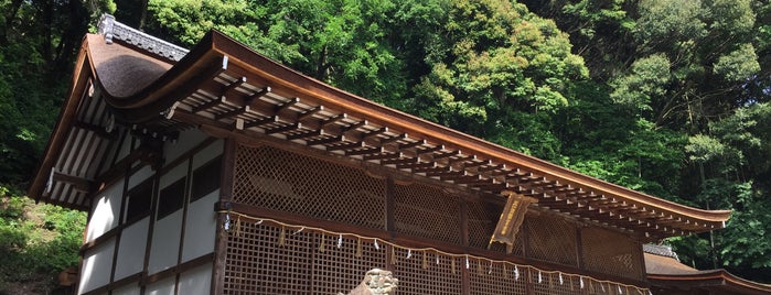宇治上神社 本殿 is one of 京都府の国宝建造物.