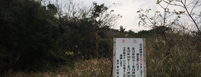 岩戸鉱山 is one of 日本の鉱山.