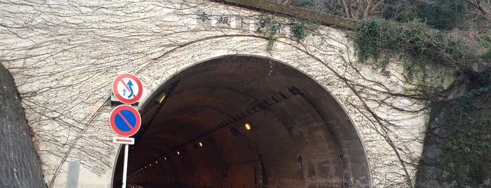 本坂トンネル is one of Lieux qui ont plu à Minami.