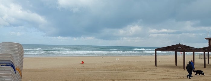 Sea Poem Beach / Пляж Морская Поэзия / חוף שירת הים is one of Nedim'in Beğendiği Mekanlar.