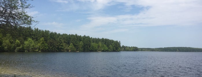 Massabesic Lake is one of Walking Trails.