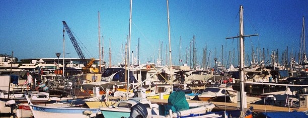 Port de Cannes is one of สถานที่ที่ Renata ถูกใจ.