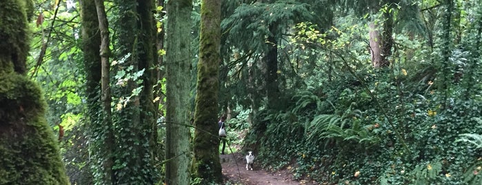 Forest Park - Wild Cherry Trail is one of Stacy: сохраненные места.