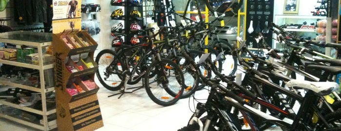 Rapanui Bike Store is one of Locais curtidos por Seymour.